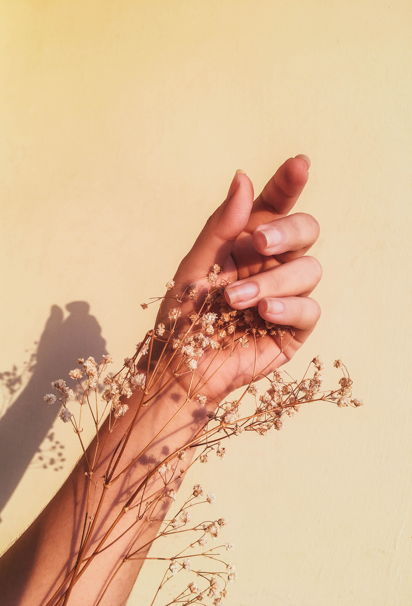 A Person Holding a Flowers Near the Wall